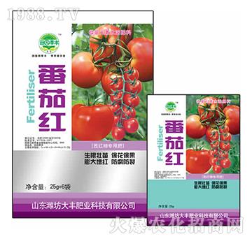 25g���Ѽt-��@���S