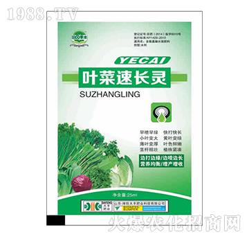 �~�����L�`-��@���S-