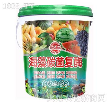 ����̼����ø-��@���S-���S�ʘI(y��)