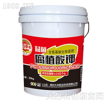 �����ֲ���-��@���S-���S�ʘI(y��)