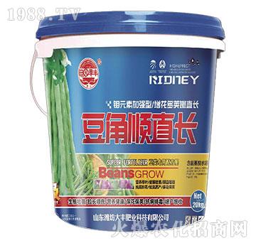 豆角順直長-田園季豐-大豐肥業(yè)