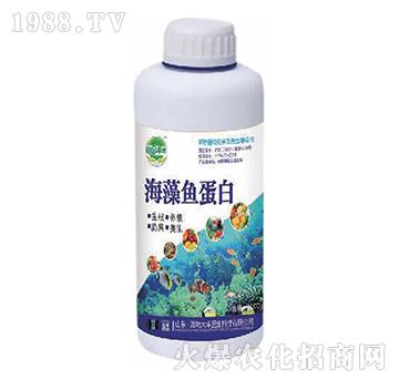 海藻魚蛋白-田園季豐-大豐肥業(yè)