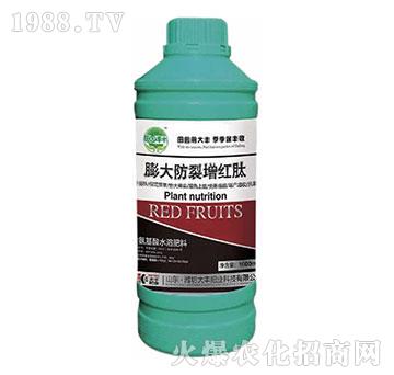 ���������t�-��@��