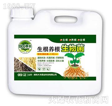 �����B(y��ng)�������-��@��