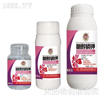 �Ǵ����-��@���S-��