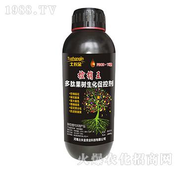 ���Ĺ���(sh��)�����ٿ؄�-������-���L(zh��ng)��