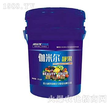 ٤�נ��n��-٤�נ�-ľ�̼ь�