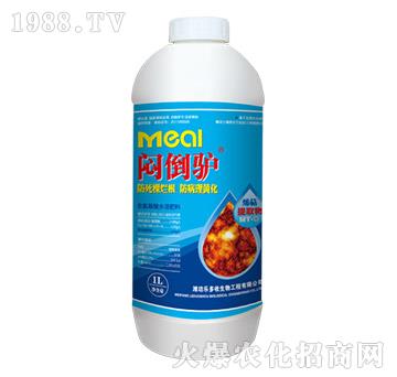 �����H��1L��-������