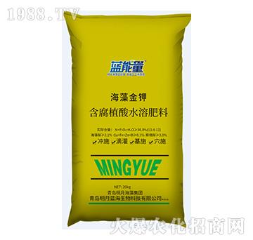 含腐植酸水溶肥料-海藻金鉀-藍(lán)能量