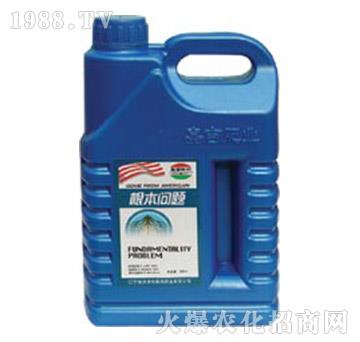 根本問(wèn)題-嘉吉