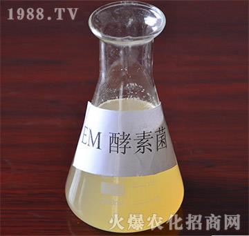 EM���ؾ�-�VԪ����