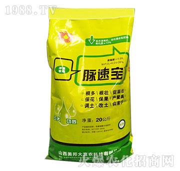 �}�ٌ�-����Ƽ�