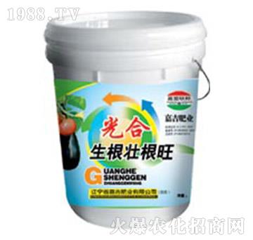 光合生根壯根旺-嘉吉