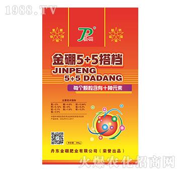 ����5+5��n-����