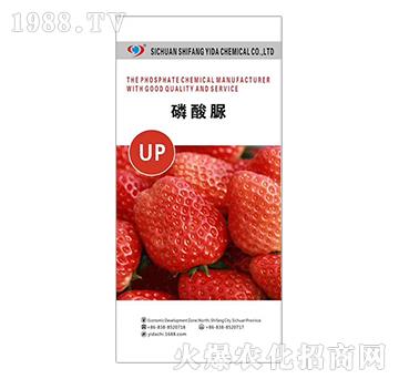 ������-�����_