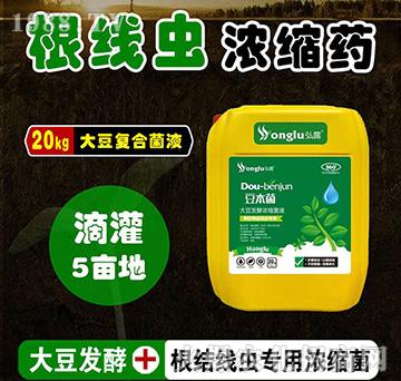 �A�����Y���x���ô󶹰l(f��)�͝�s��Һ-������-���r(n��ng)��¶