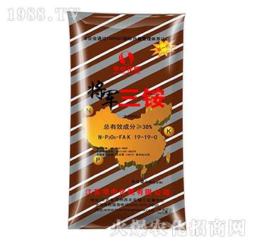 ��܊���@19-19-0