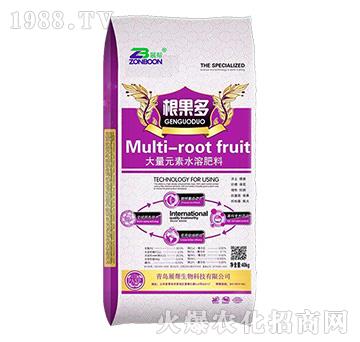 ����Ԫ��ˮ�ܷ���-������-չ������