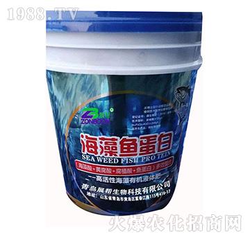 �����~����-չ������