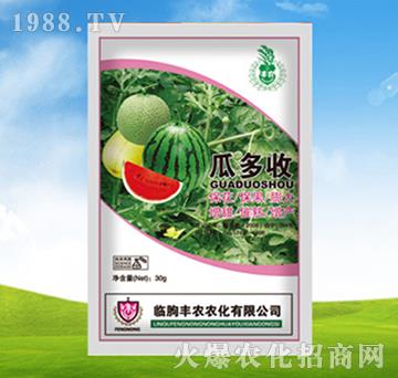 �϶���-�S�r�r��