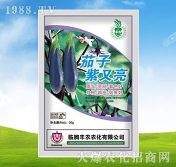 ����������-�S�r�r��