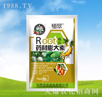 ˎ�������-ֲ��-�S�r�r��