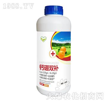 �}��ͬ�a(b��)-����t