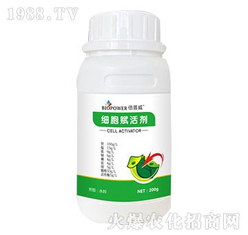 �����x�-������