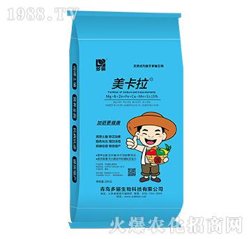 ���������{����-���P����