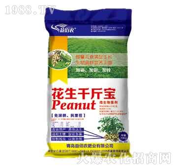 ����ǧ����-����r