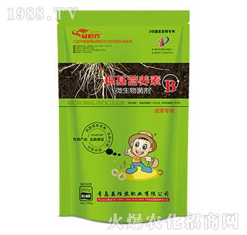 �߲ˌ���΢�������-�����I�B(y��ng)��B-����r(n��ng)