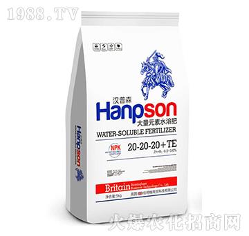 ����Ԫ��ˮ�ܷ�20-20-20+TE-�h��ɭ-������