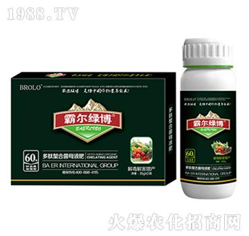 �⺦���a���ö������Ͼ�