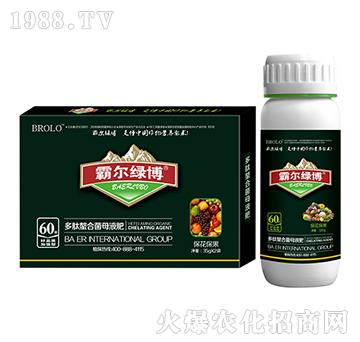 ���������Ͷ������Ͼ�ĸ