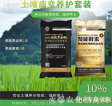 ������׃�B(y��ng)�o���b-��������