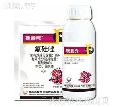 8%������-�����-���A����