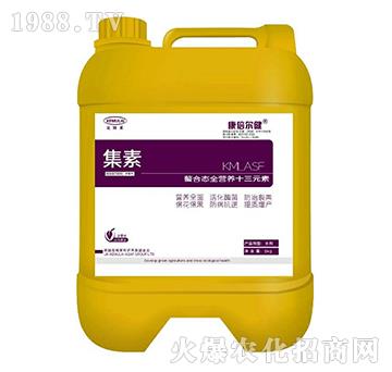 ���ϑB(t��i)ȫ�I(y��ng)�B(y��ng)ʮ��Ԫ�أ�Ͱ��-����-��������-��ķ�R