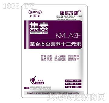 ���ϑB(t��i)ȫ�I�B(y��ng)ʮ��Ԫ�أ�����-����-��������-��ķ�R