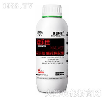 �߻�������-������-��������-��ķ�R