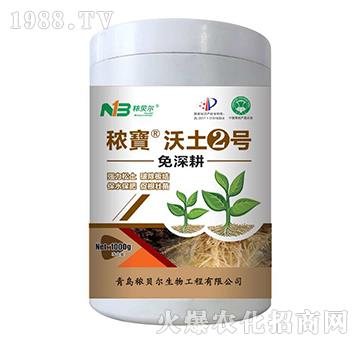 �������������2̖(h��o)-��ؐ��