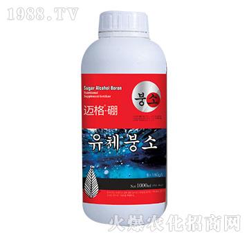 �~����-�xҫ����