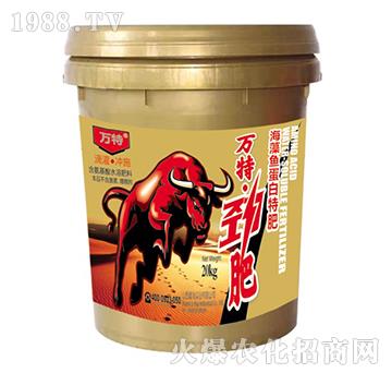 �����~�����ط�-�f�؄ŷ�-�ٺ����I(y��)