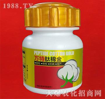 ���޽�-�f��-�ٺ���(sh��)�I(y��)