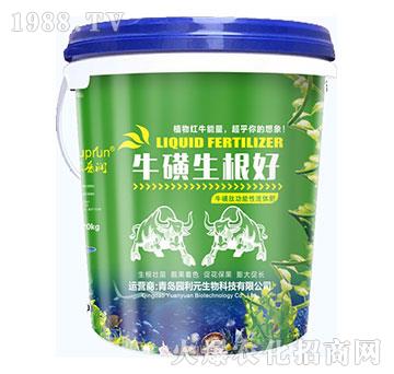 ����������-�@��Ԫ