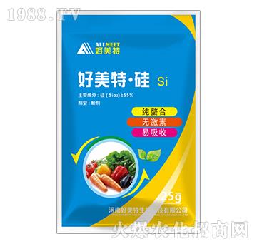 �����ء���-������