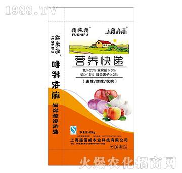 �I�B(y��ng)���f-��ʩ��-ʩ���_(d��)