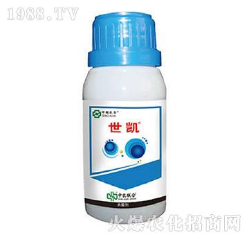 10%���Ѽ׭h(hu��n)��-���P