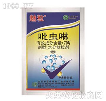 70%���x��-����-���r(n��ng)(li��n)��