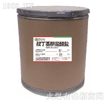 �嶡�����}���}-���r(n��ng)(li��n)