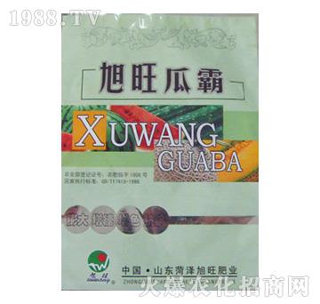 �����ϰ�-�r(n��ng)�ɸ�